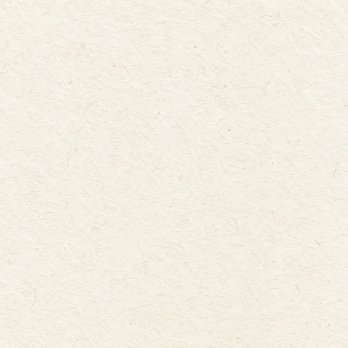 命名書